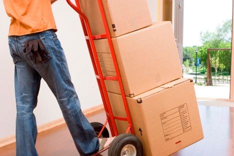 Mudanzas Porfirio llevando cajas